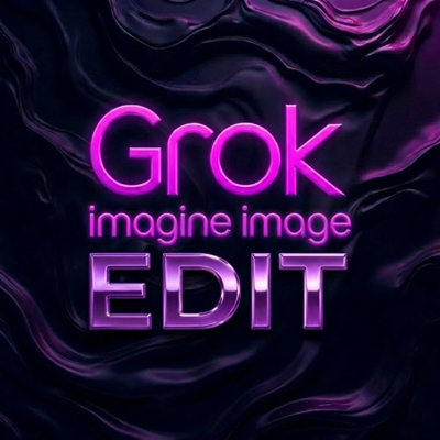 Grok Imagine Image Edit