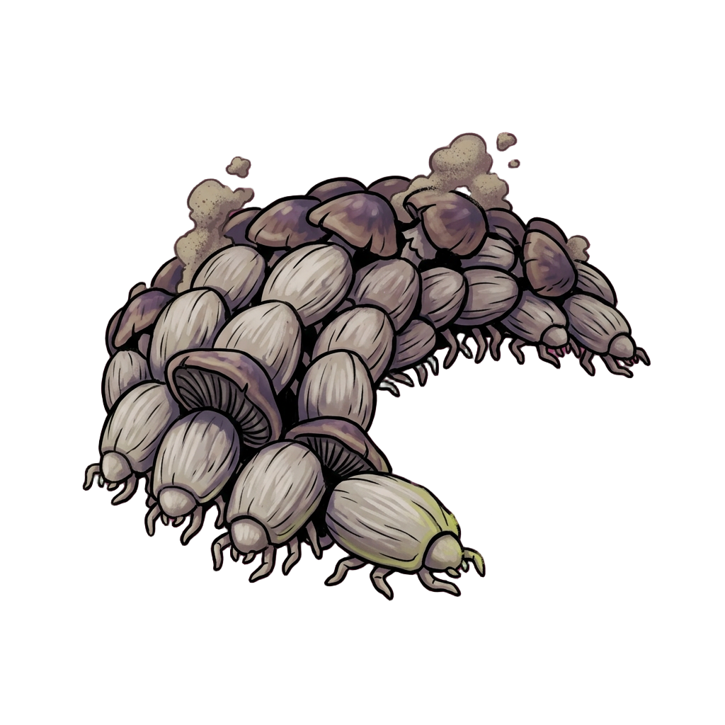 A crescent-shaped mass of small capped mites crawling together